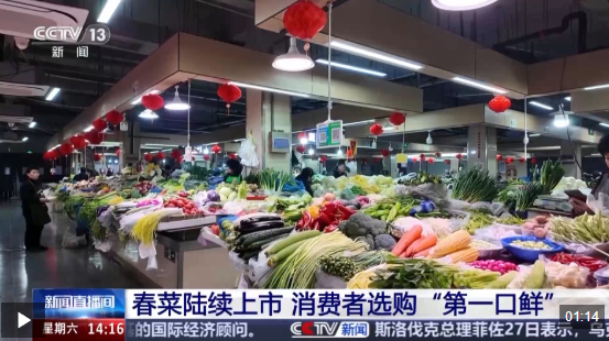 视频丨春菜陆续上市 消费者选购“第一口鲜”