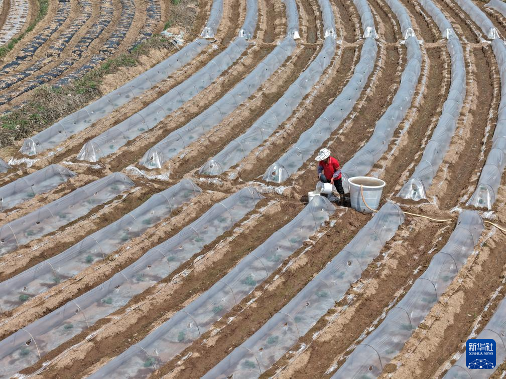 人勤春来早 农忙正当时