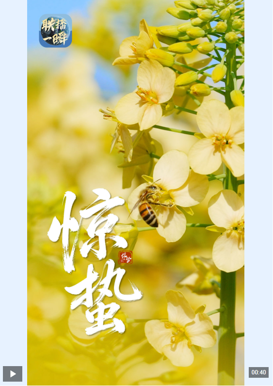 文化中国行·联播一瞬丨惊蛰：以春为序 向阳生长