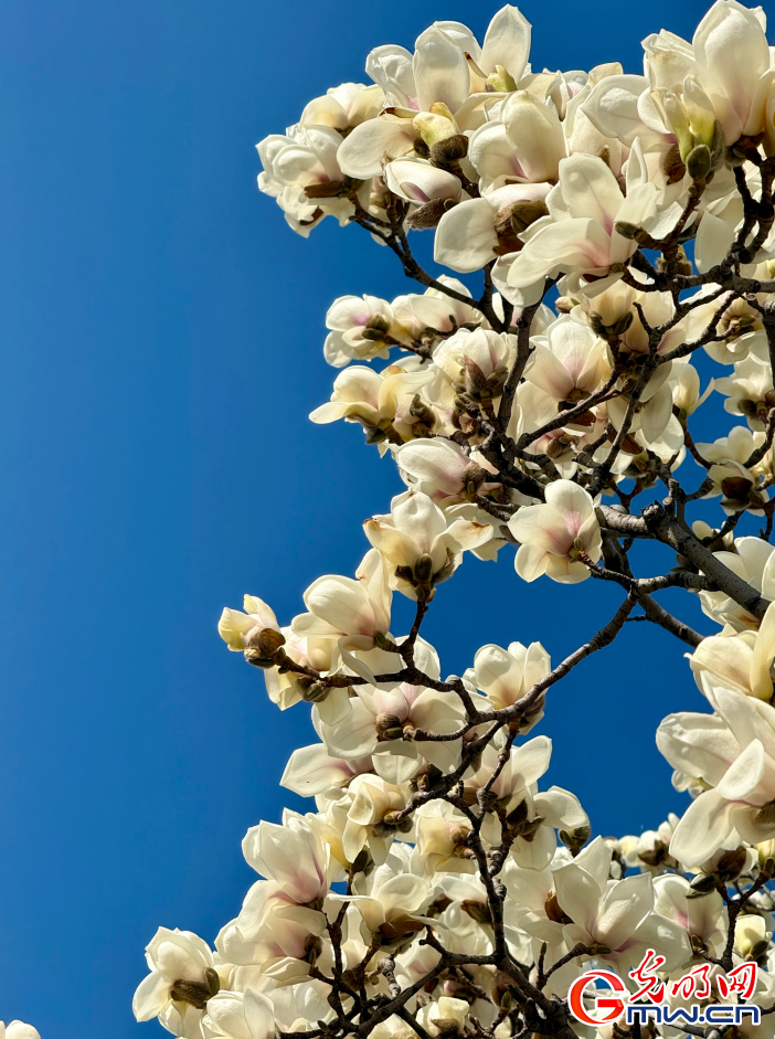 春日游园乐享好时光