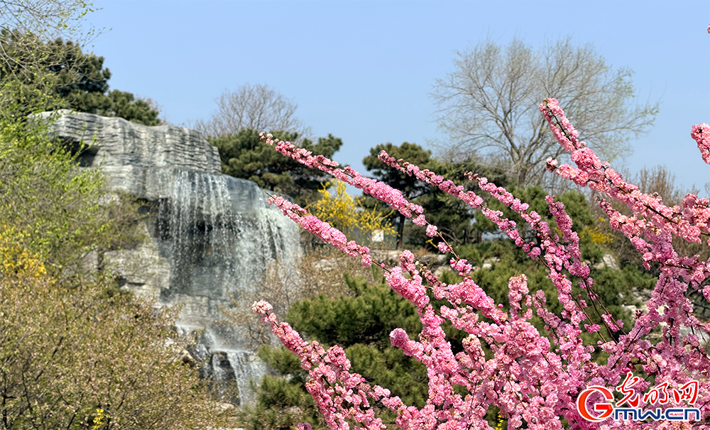 【网络中国节】清明时节 踏青赏花正当时