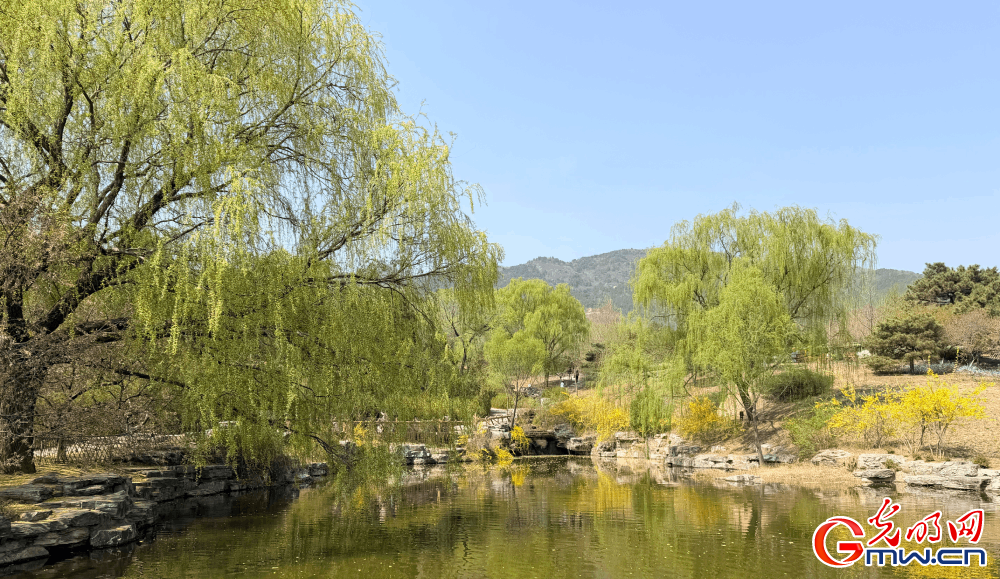 【网络中国节】清明时节 踏青赏花正当时