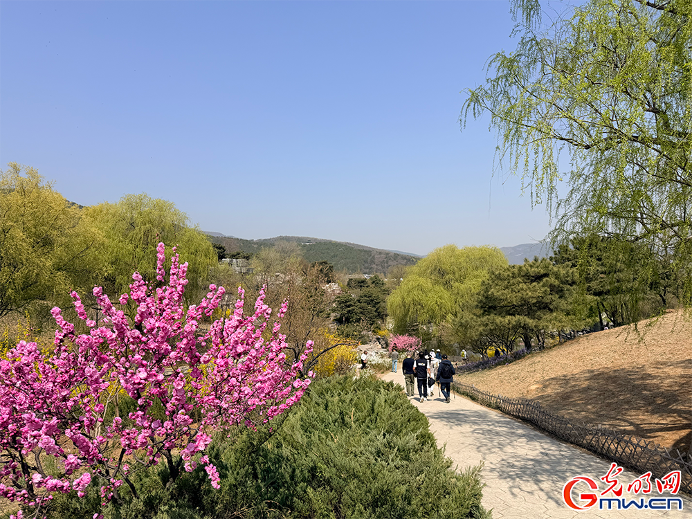 【网络中国节】清明时节 踏青赏花正当时