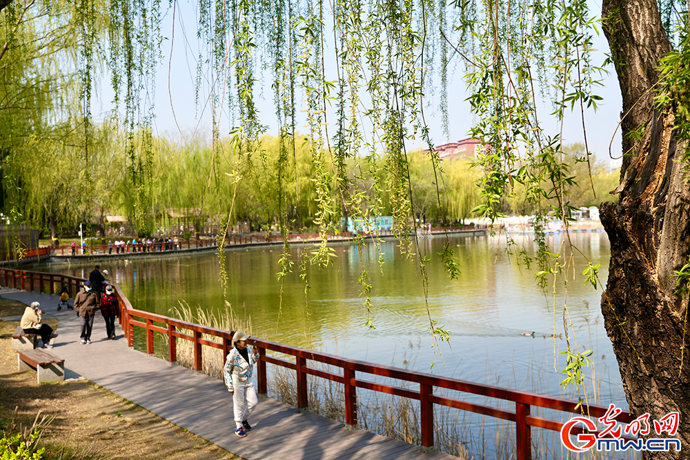 【网络中国节】清明时节 踏青赏花正当时