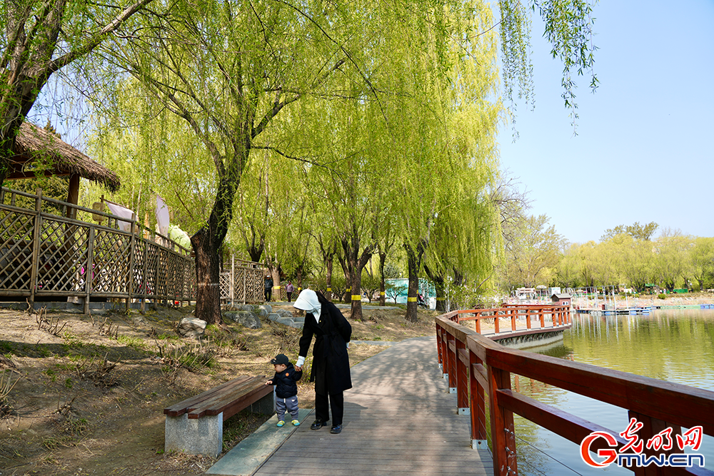【网络中国节】清明时节 踏青赏花正当时