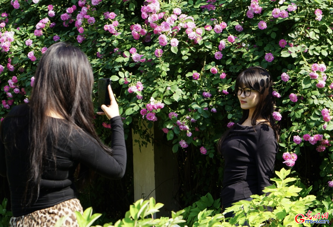 郑州：春日有约 市民尽享好春光