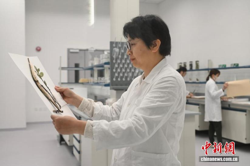 6月新规密集落地 哪一条你最关注? 6月新规密集落地 哪一条你最关注?