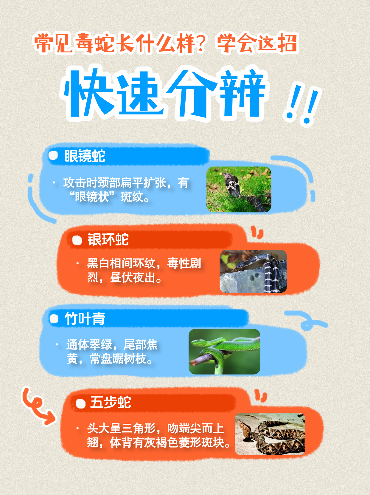 洪水过后，这份防蛇安全指南请查收