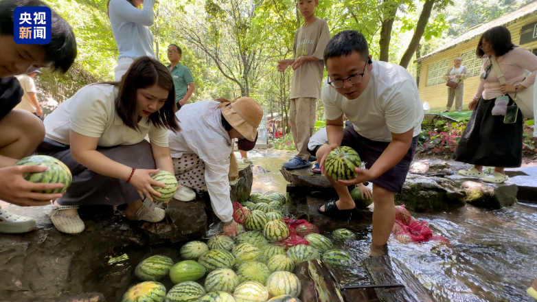 西瓜丰产却卖不上价 河南瓜农该怎么办?这场爱心接力给出了答案!
