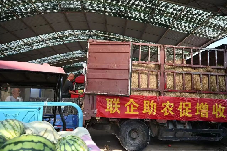 西瓜丰产却卖不上价 河南瓜农该怎么办?这场爱心接力给出了答案!