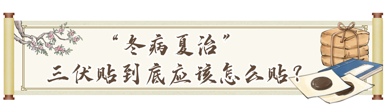 “冬病夏治”的三伏贴适合你吗?最佳贴敷时间表来了