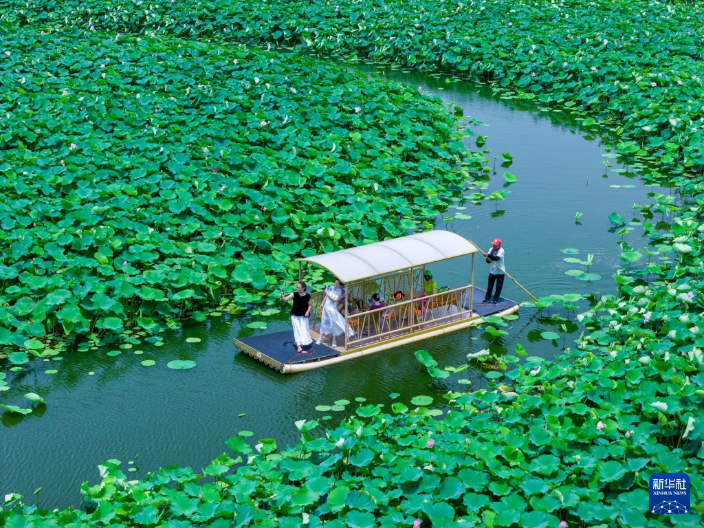 亲水避暑享清凉