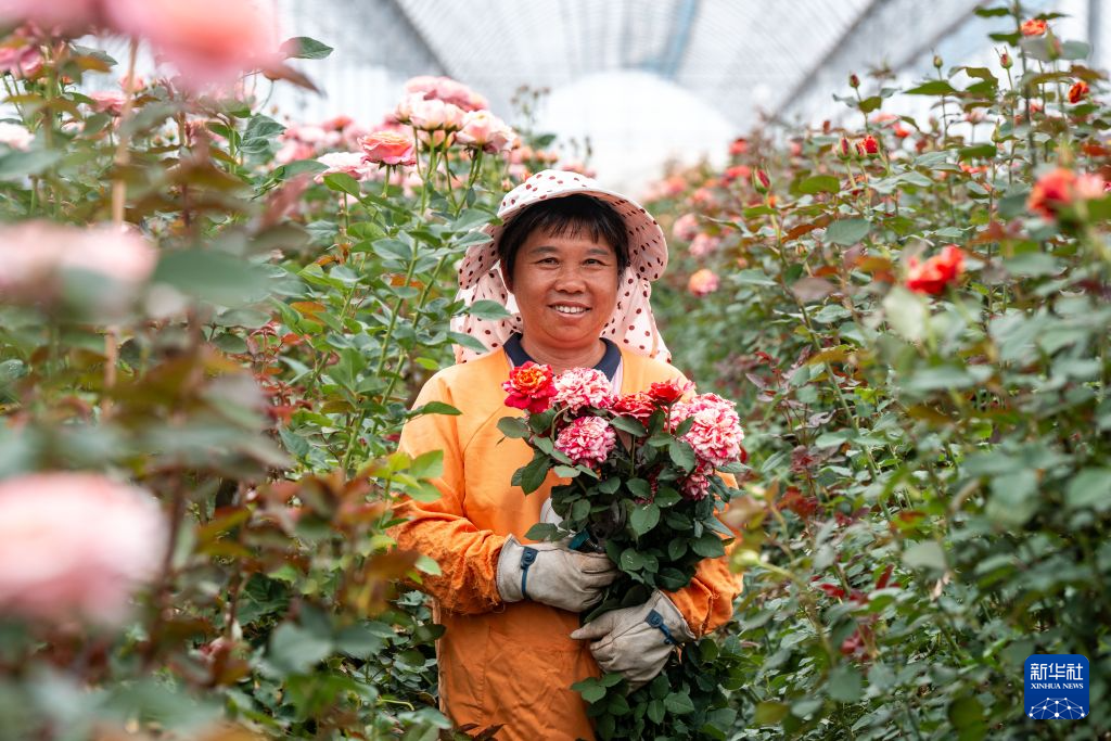 花开玉溪 产业向新