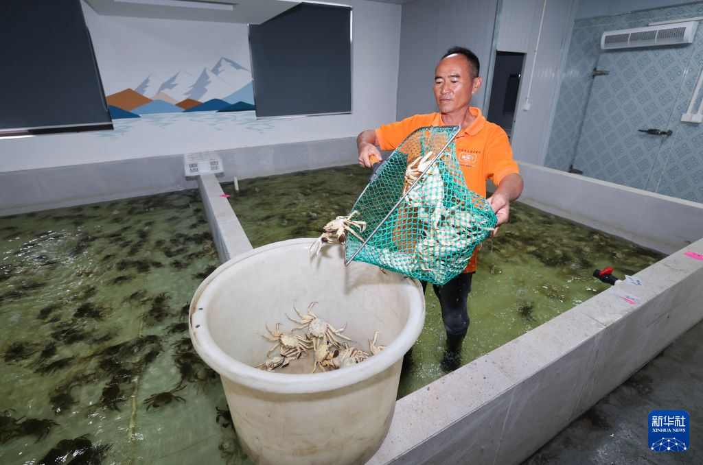 浙江湖州:太湖蟹迎来丰收季
