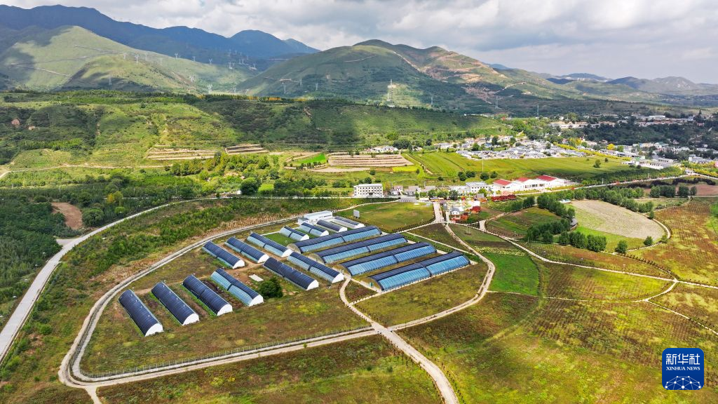 诗词忆长征丨六盘山上高峰,红旗漫卷西风