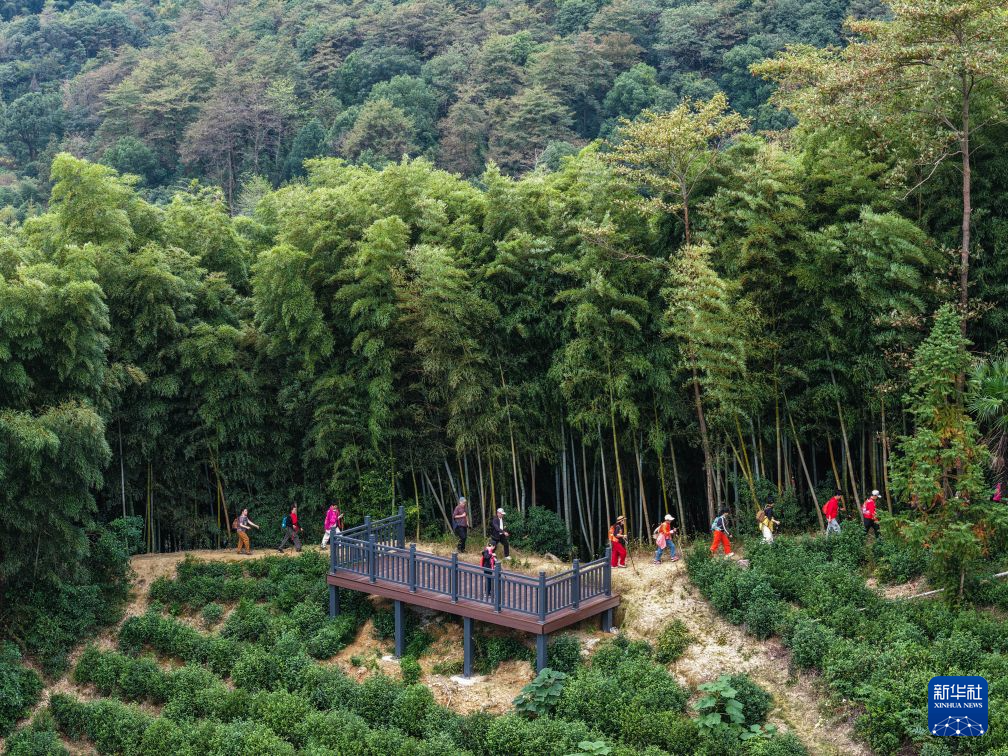 美丽乡村开启金秋文旅季