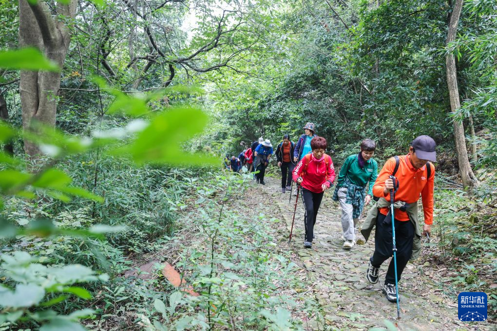 美丽乡村开启金秋文旅季