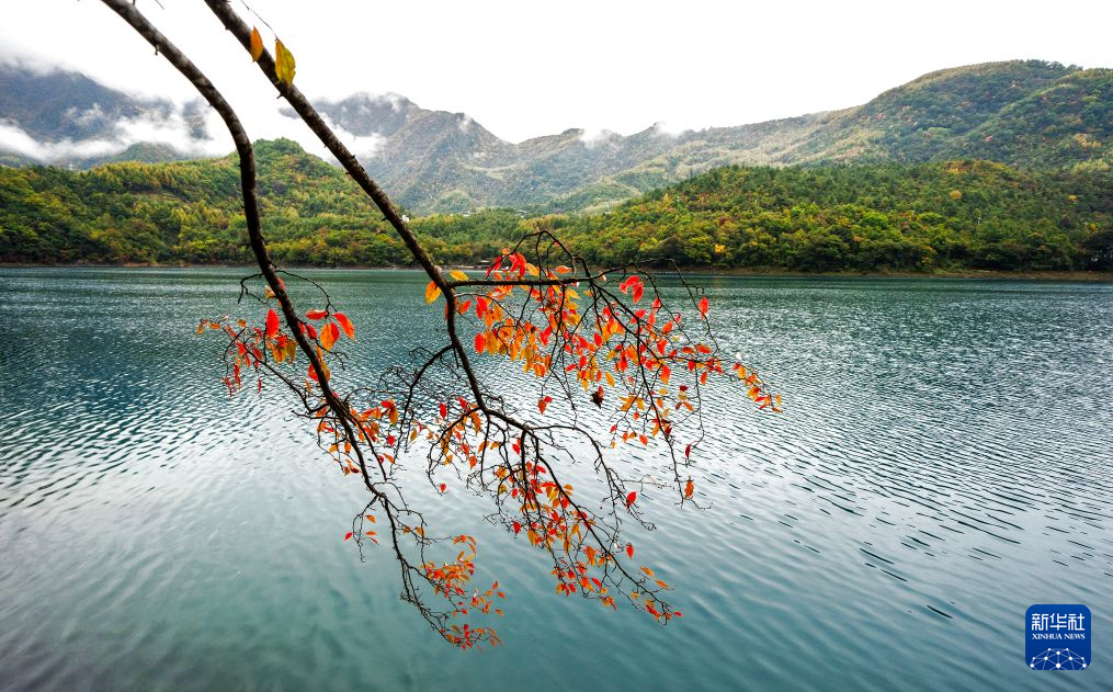 美丽中国丨甘肃文县天池:层林染秋 湖山相映