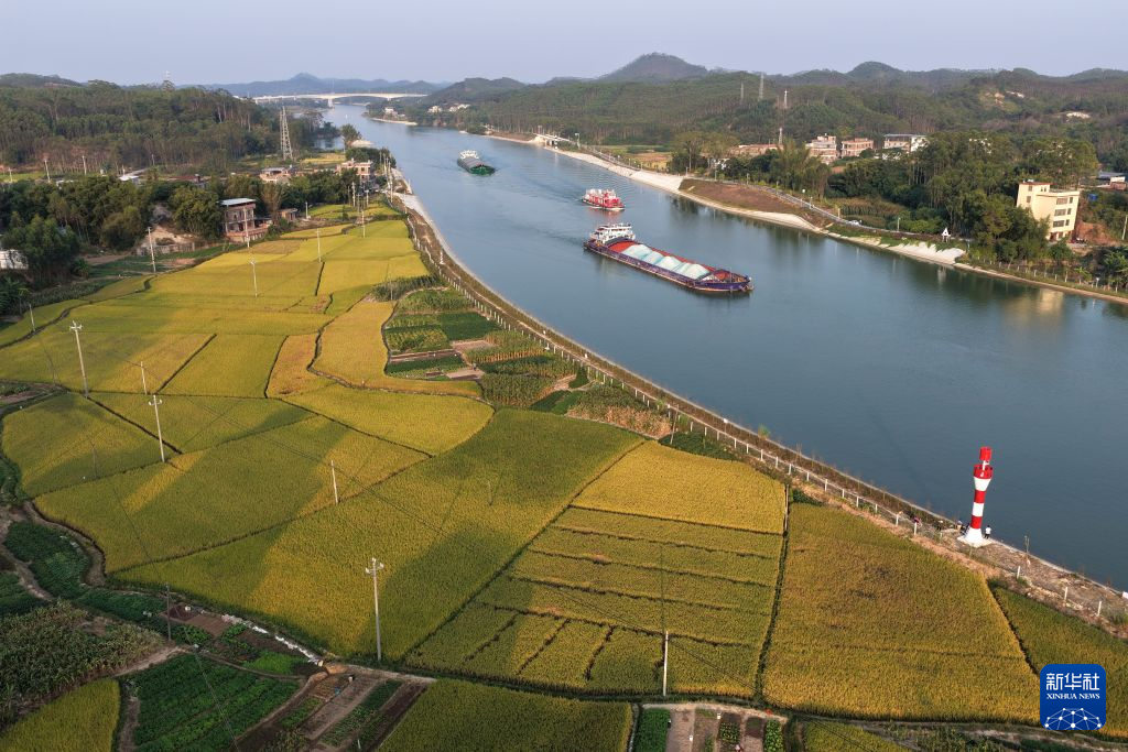 平陆运河秋景