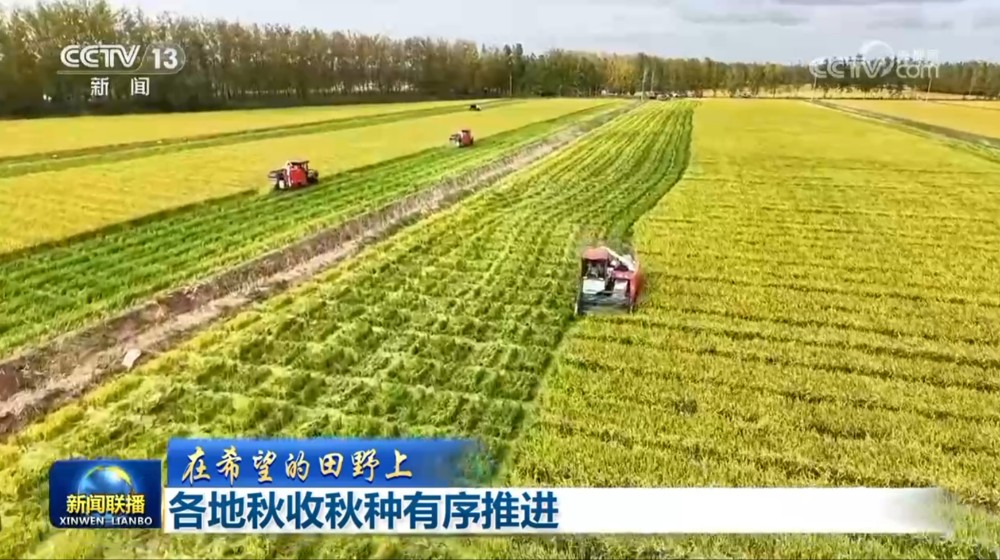 【在希望的田野上】各地秋收秋种有序推进