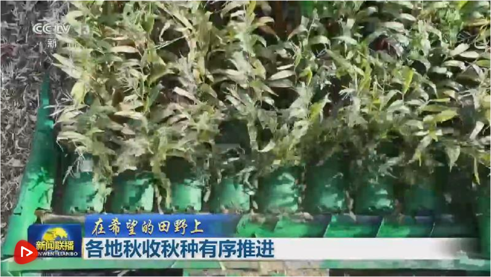 【在希望的田野上】各地秋收秋种有序推进