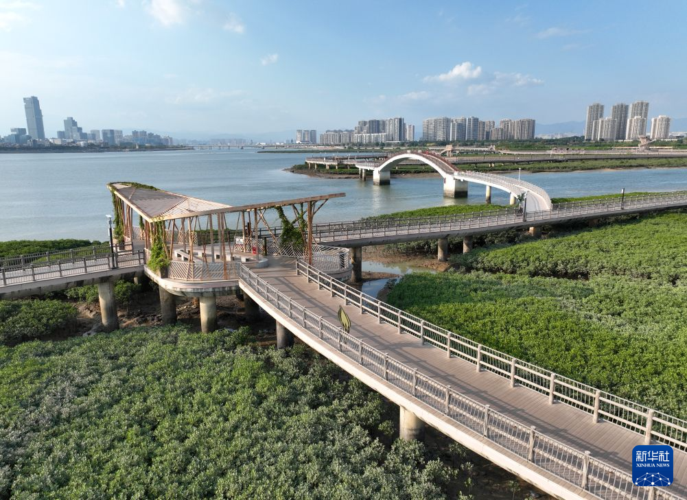 城海相融 生态厦门