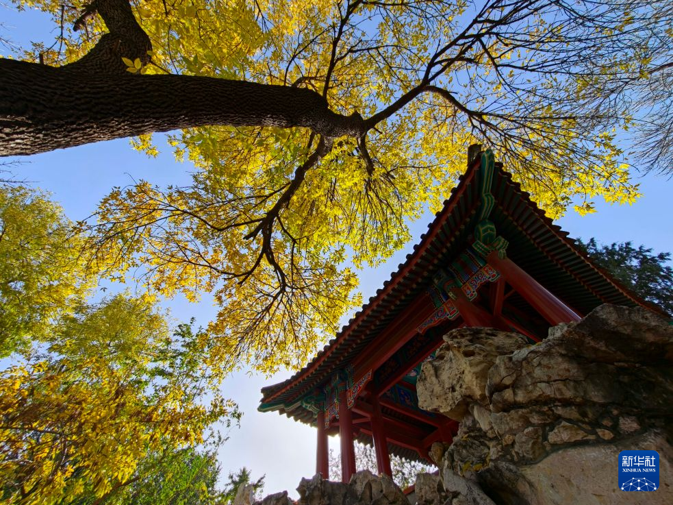 北京秋渐浓