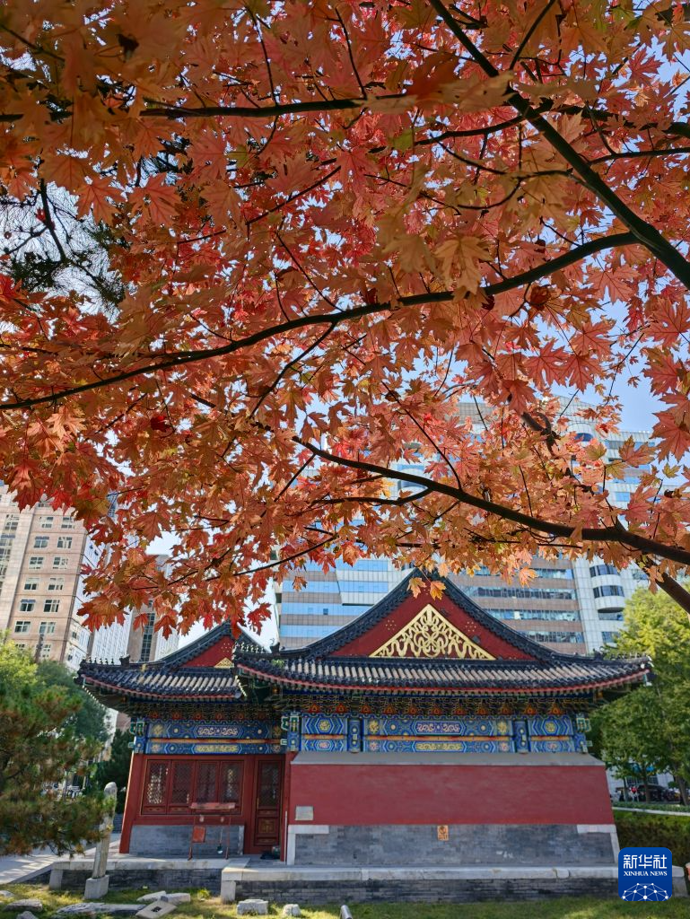 北京秋渐浓