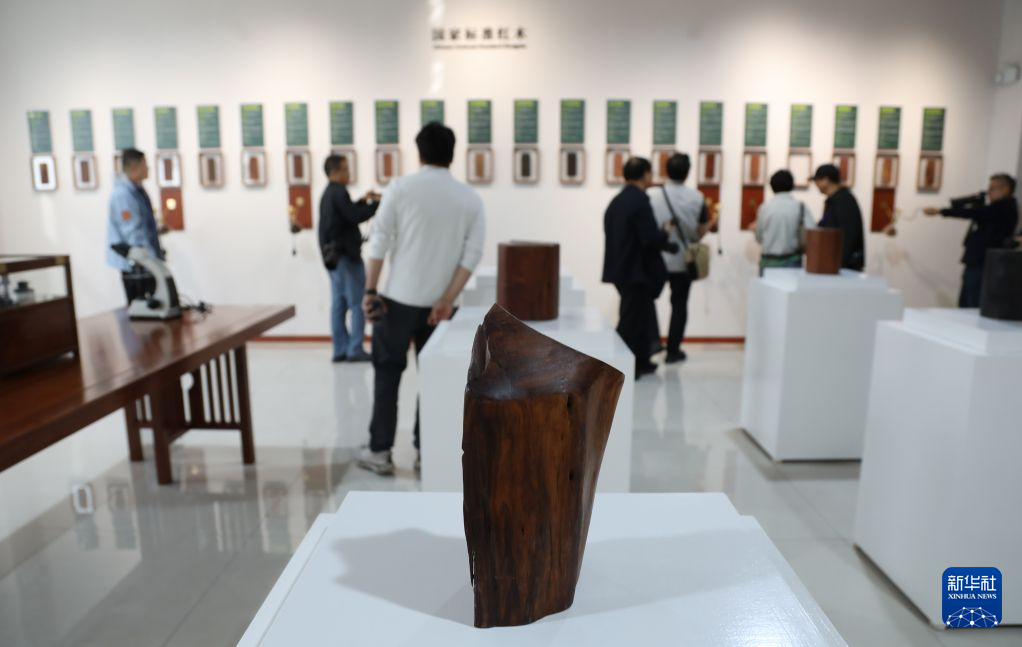 走进江苏常熟东方红木艺术馆