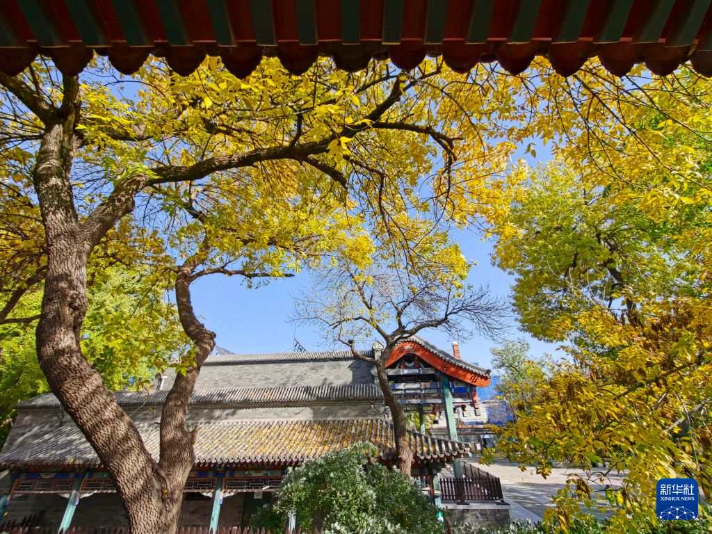 北京秋渐浓