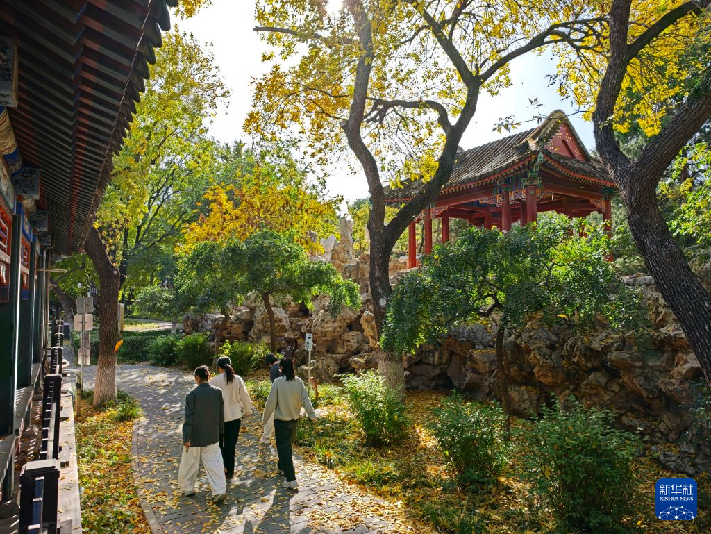 北京秋渐浓